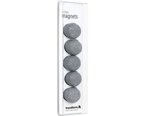 Decoratieve magneten, steenmotief, set van 5, grijs