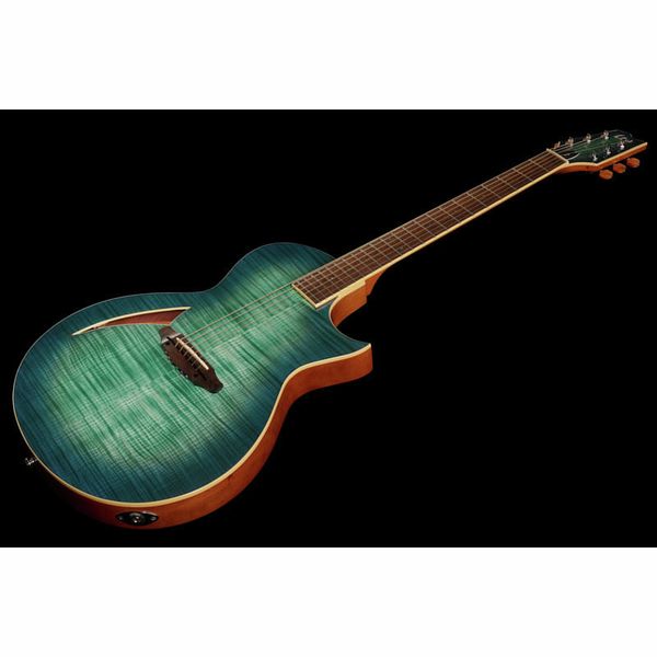 ESP LTD TL-6 Fm AQMB