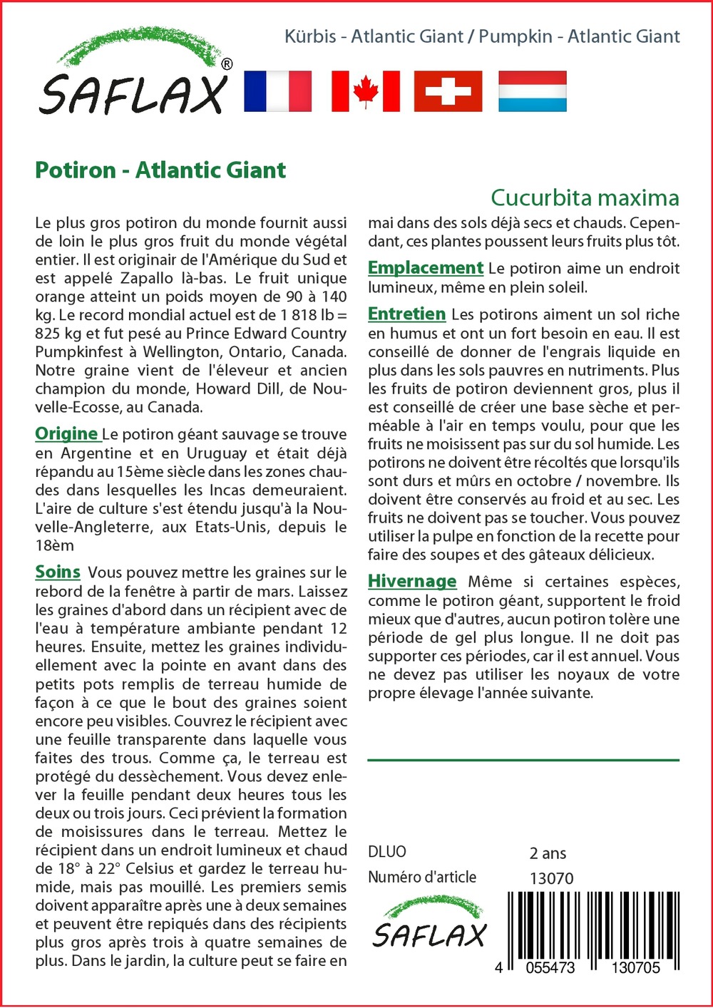 Potiron - atlantic giant - 7 graines - cucurbita maxima