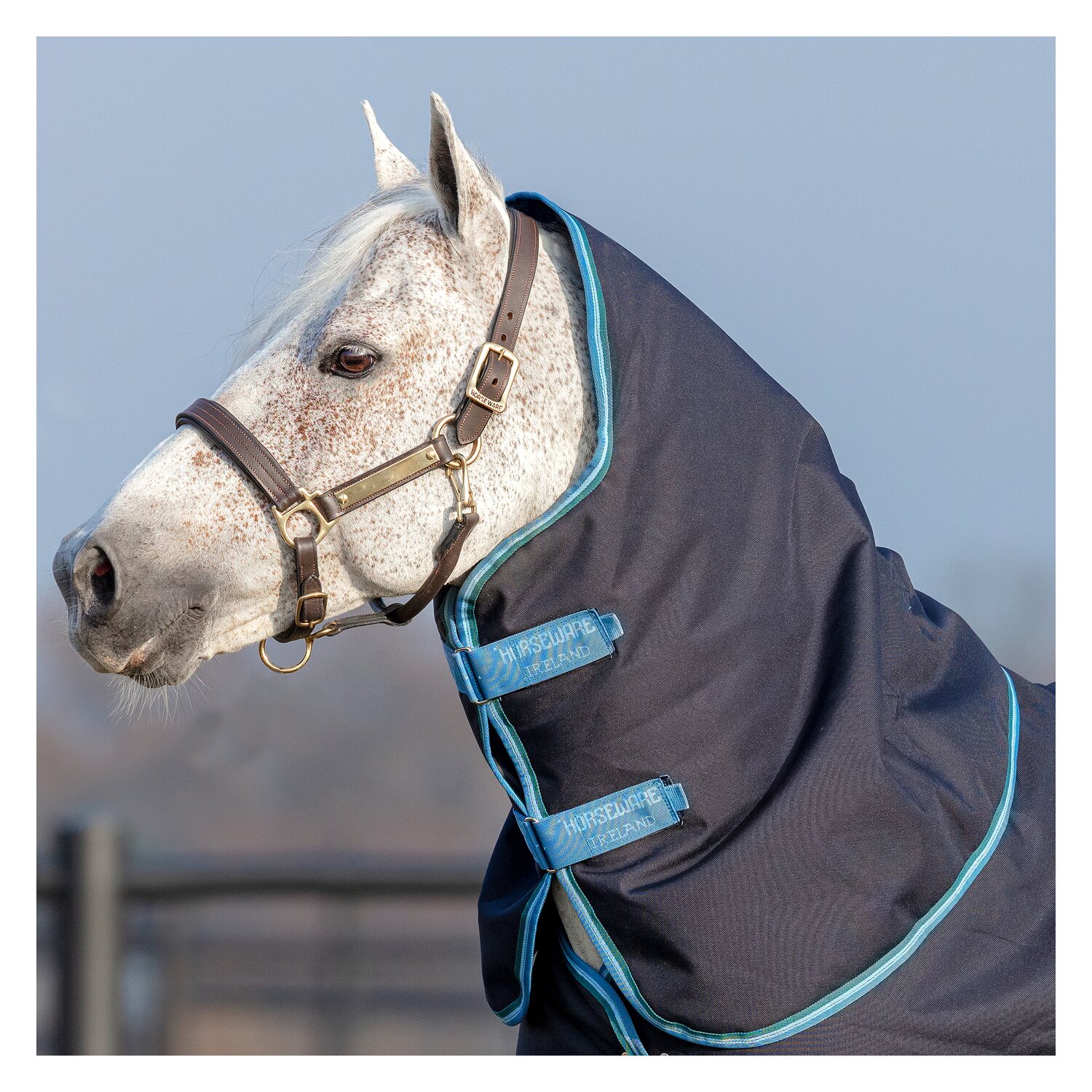 Horseware Halsteil AMIGO Bravo 12, 150g - navy/turquoise/check
