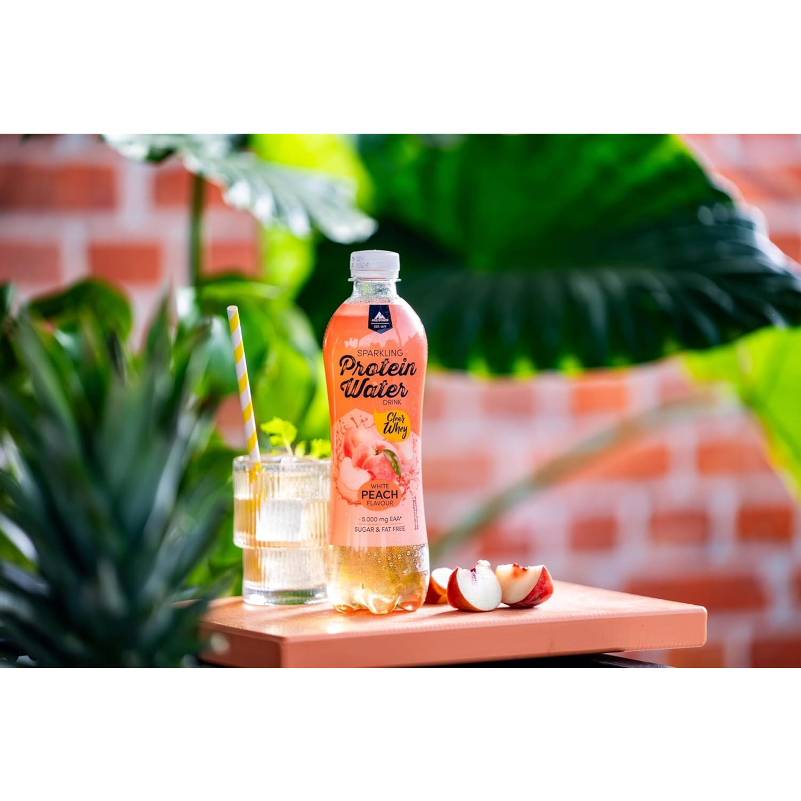 Sparkling Protein Water (500ml)
