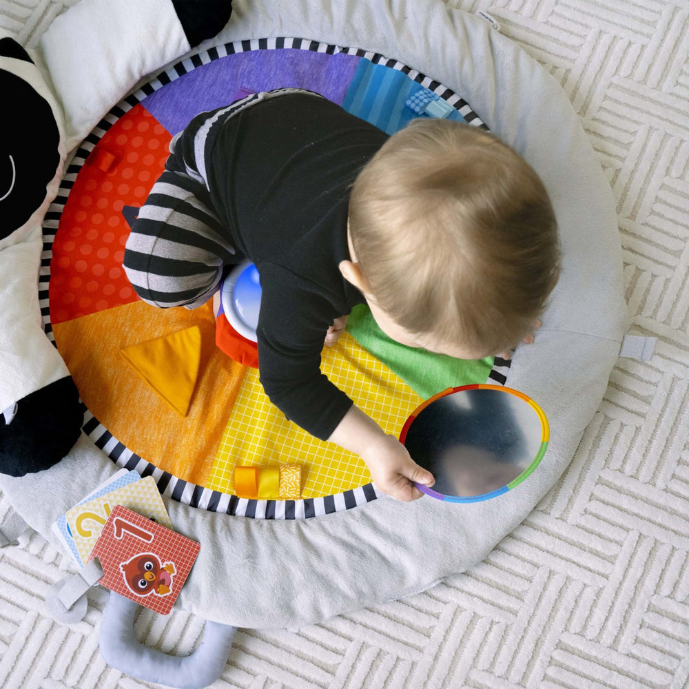 Køb Baby Einstein Plush Gym Zen's Activity Milestones™