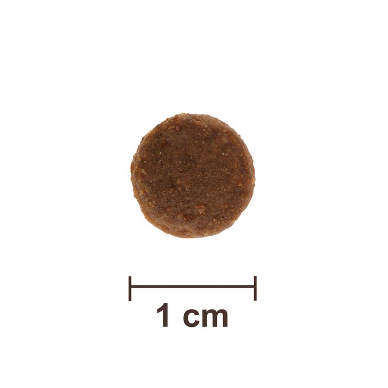 Feringa Adult Sterilised, volaille