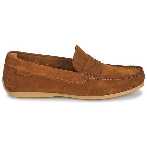 Carlington - ERMYL - Camel
