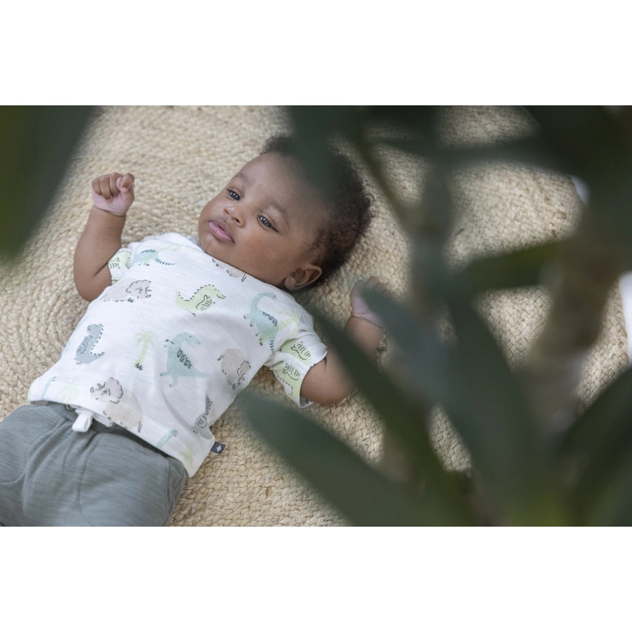 Feetje T-Shirt Cool-A-Saurus Natur