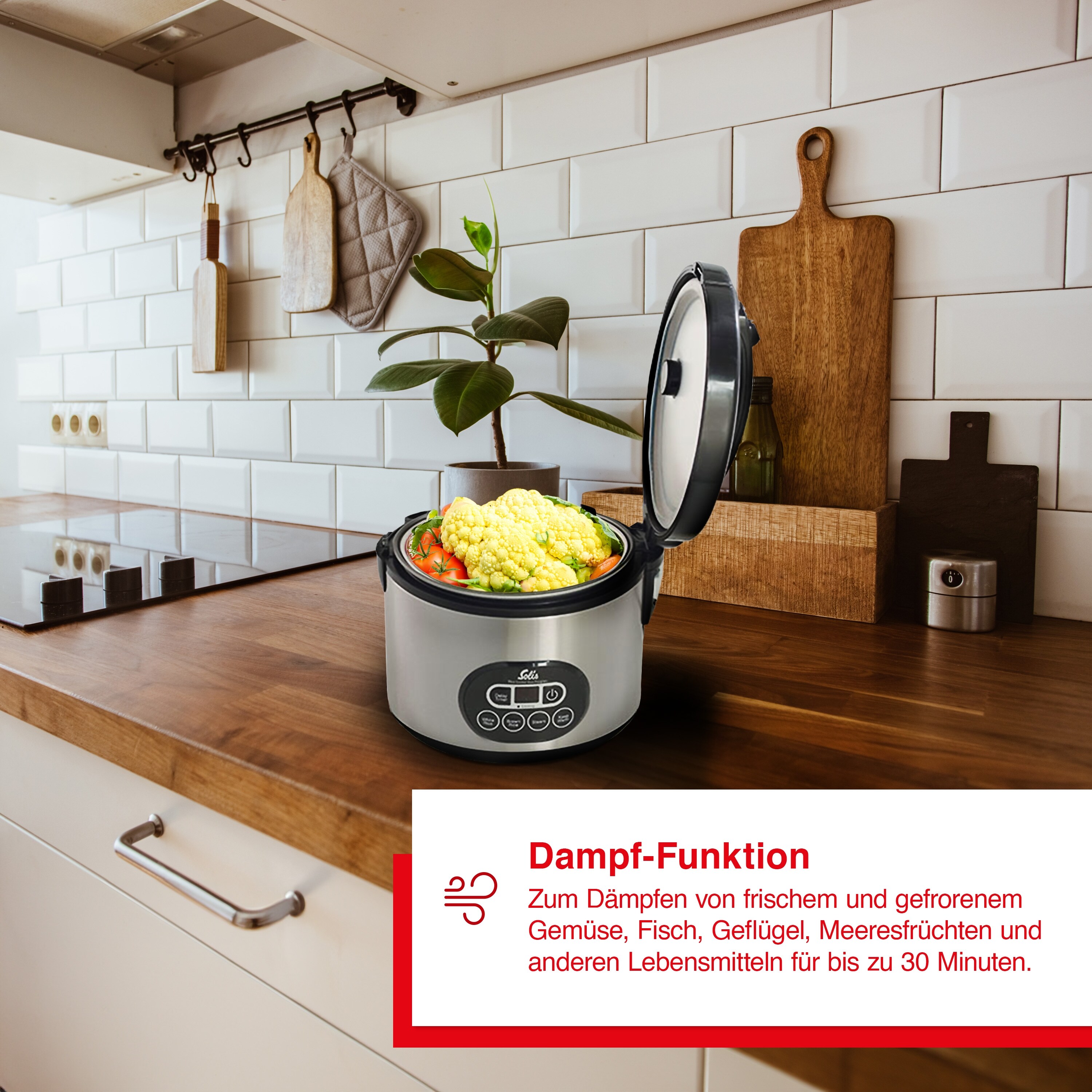 Solis Reiskocher & Dampfgarer 500 W, 1,2L Volumen, Timer, Beschichtung