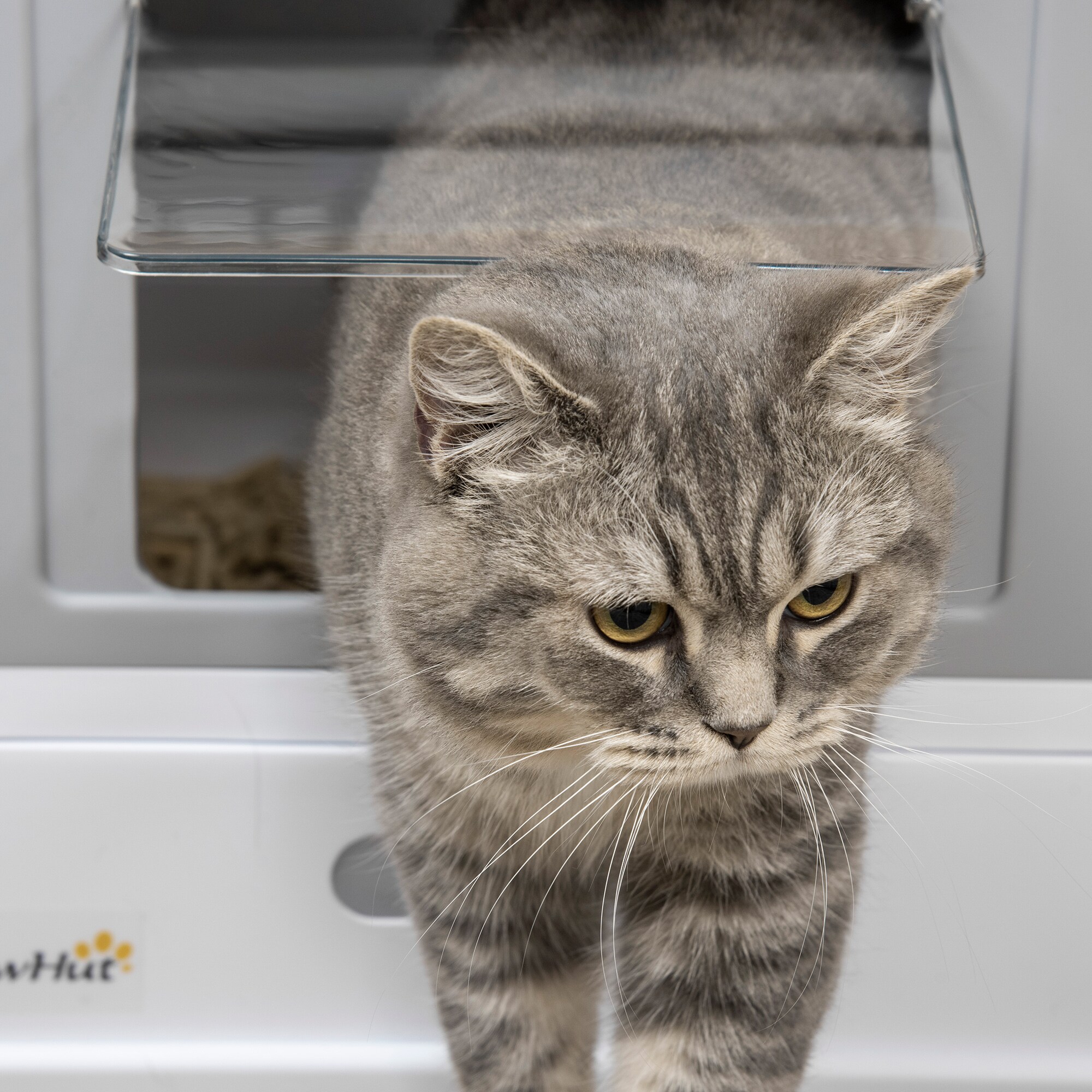 PawHut Katzentoilett mit ausziehbarer Schublade grau, weiß 47,5L x 35,5B x 36,7H cm