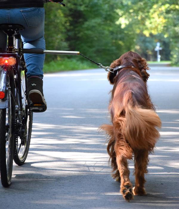 dobar® petlife Fahrradleine Walky Dog Plus