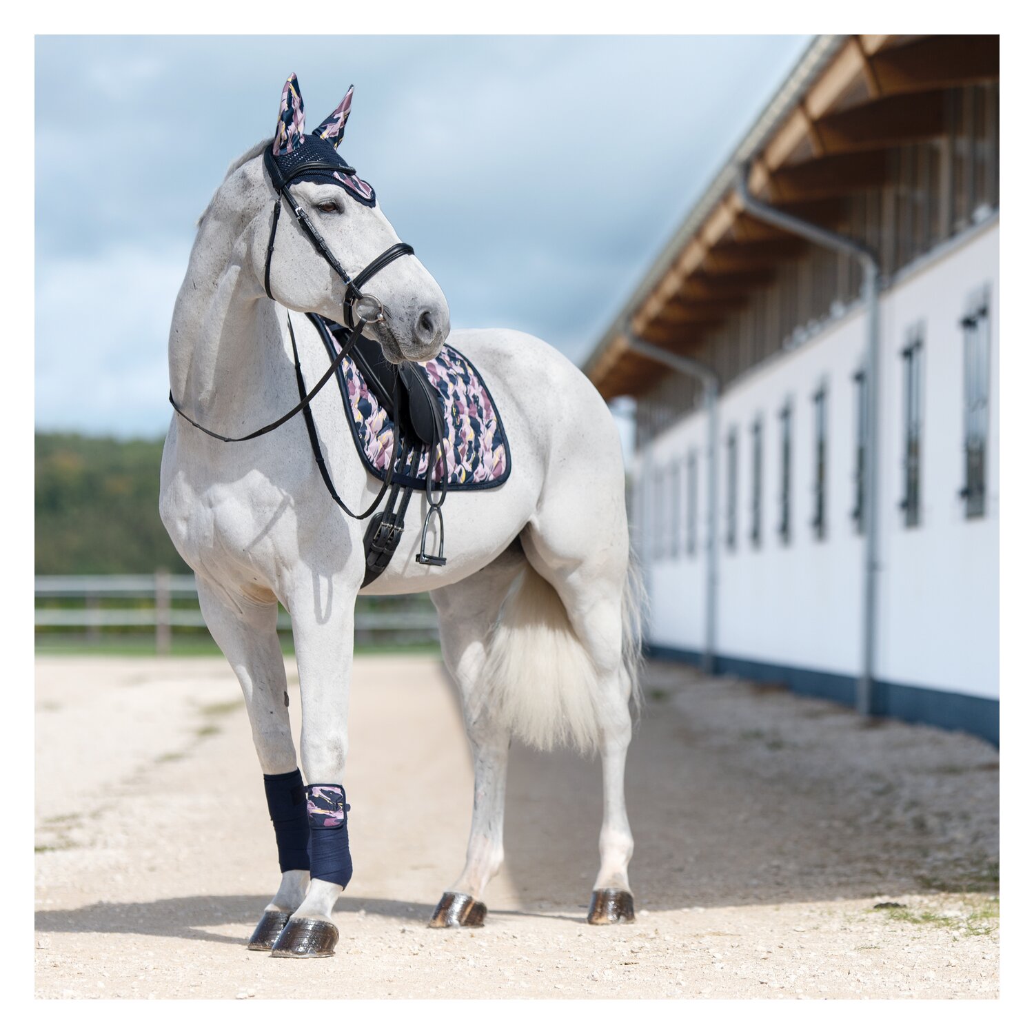 Cheval de Luxe Fleecebandagen Evry  - navy/print - WB