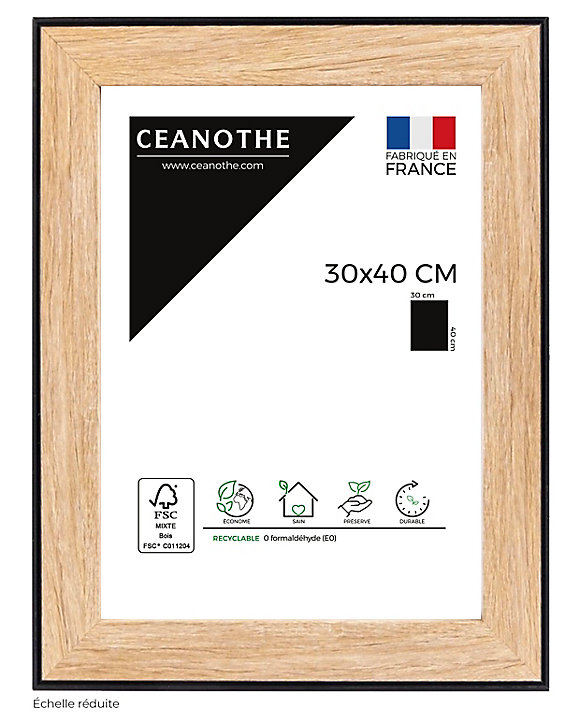 Cadre Newton noir l.30 x H.40 cm Ceanothe