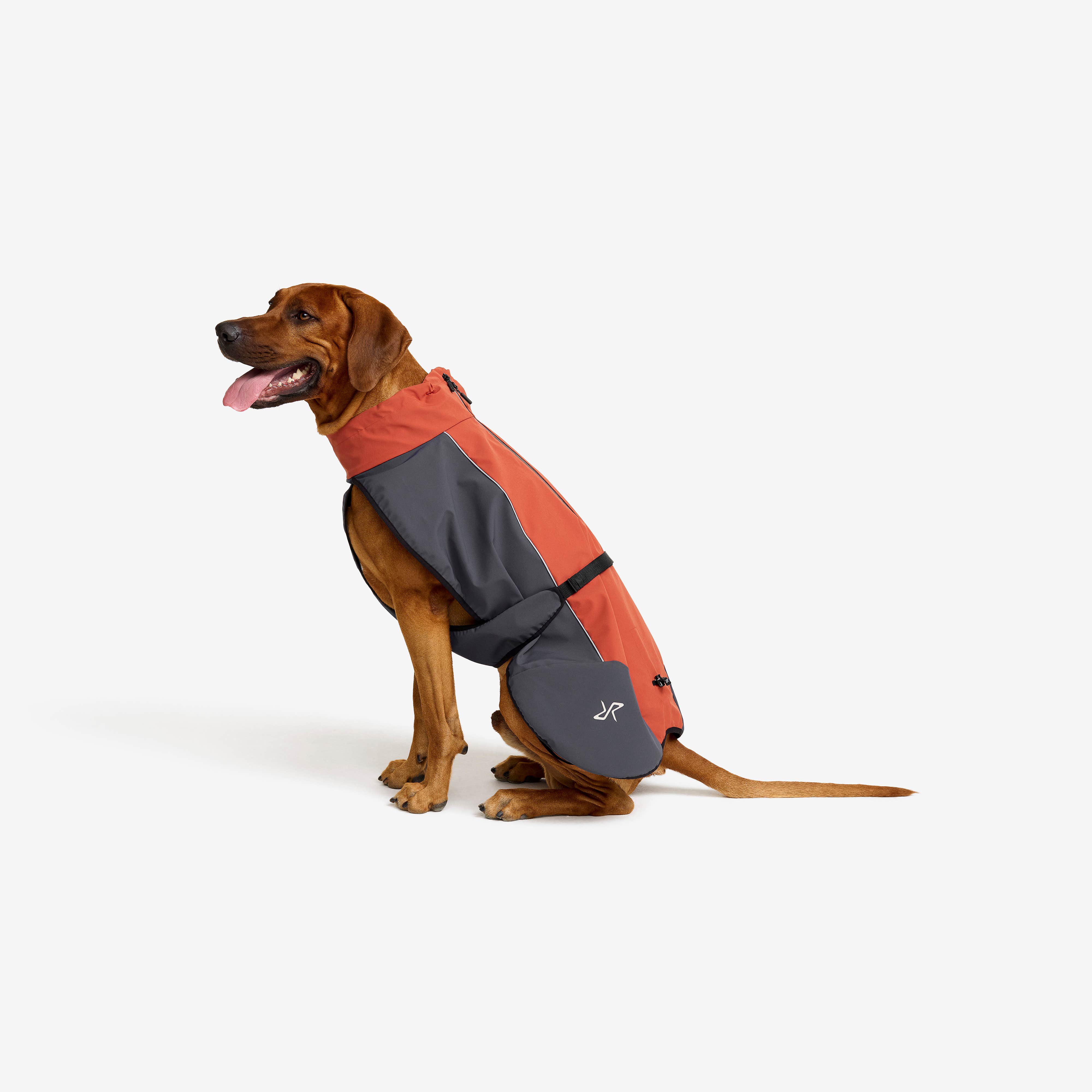 Cyclone Dog Jacket Hund Bossa Nova/India Ink