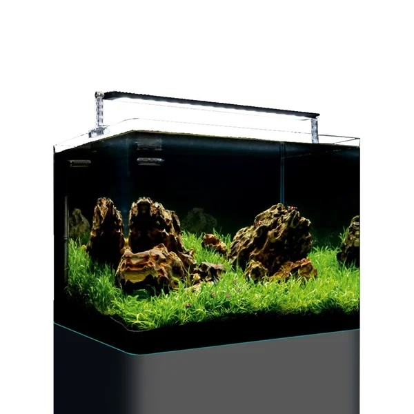 Dennerle Nano Tank Plant Pro 55L | Aquarium