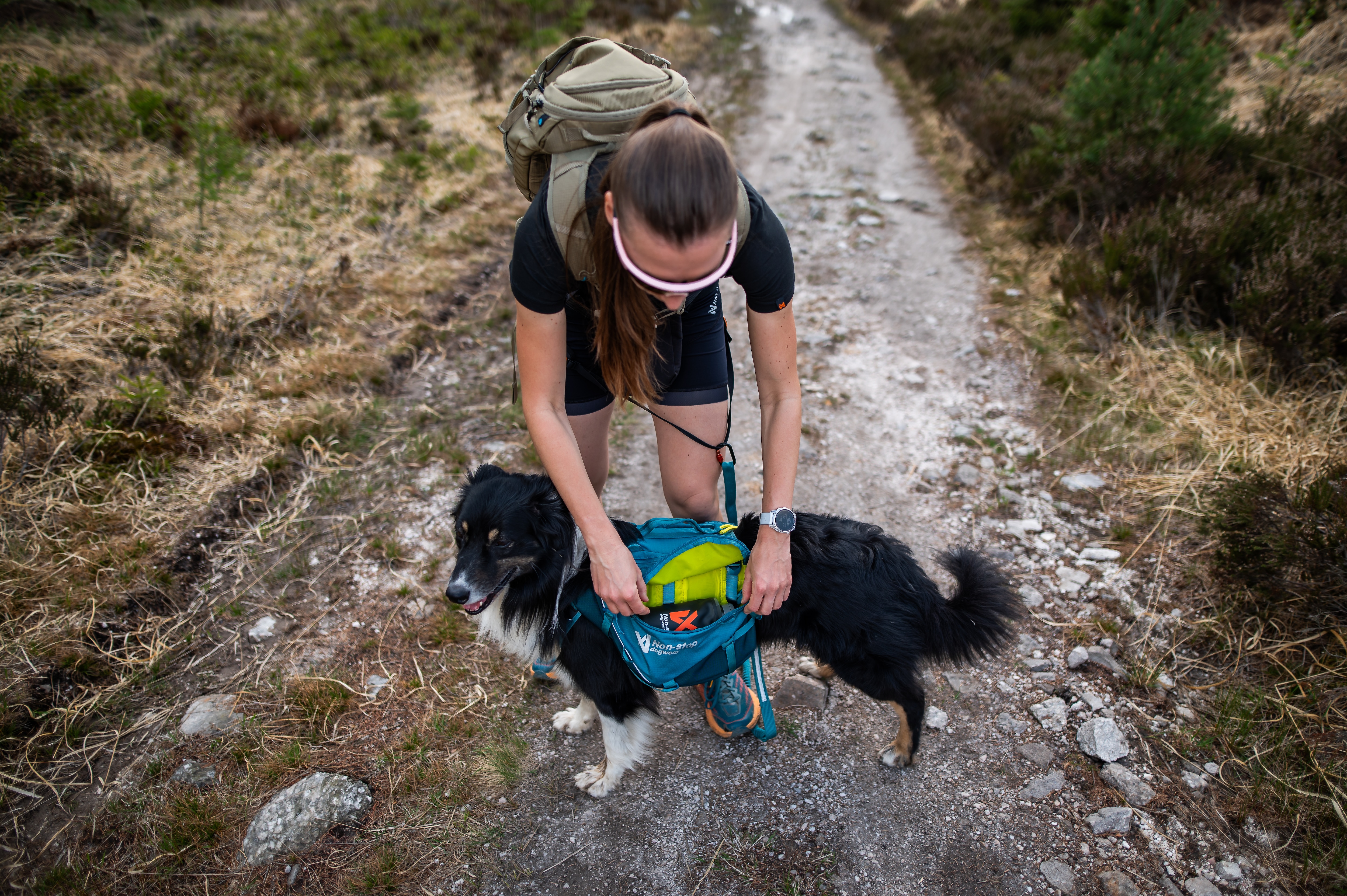 Kjøp Non-Stop Dogwear Trail quest dog backpack fra Hekta på tur!
