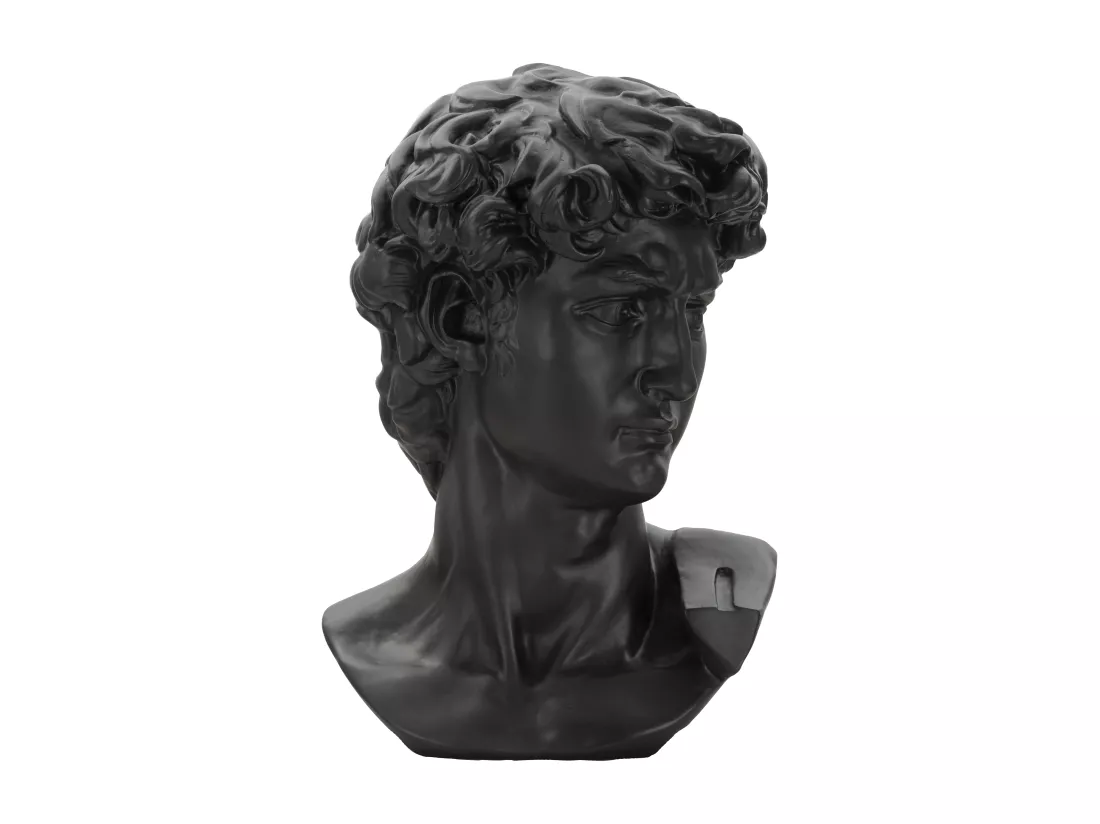 SCULPTURE TÊTE ANCIENNE NOIRE 44X35,5X60 CM