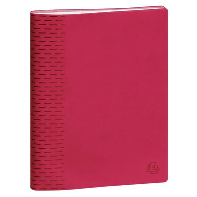 Agenda Winner - 1 semaine sur 2 pages - 18,5 x 22,5 cm - disponible dans différentes couleurs - Exacompta