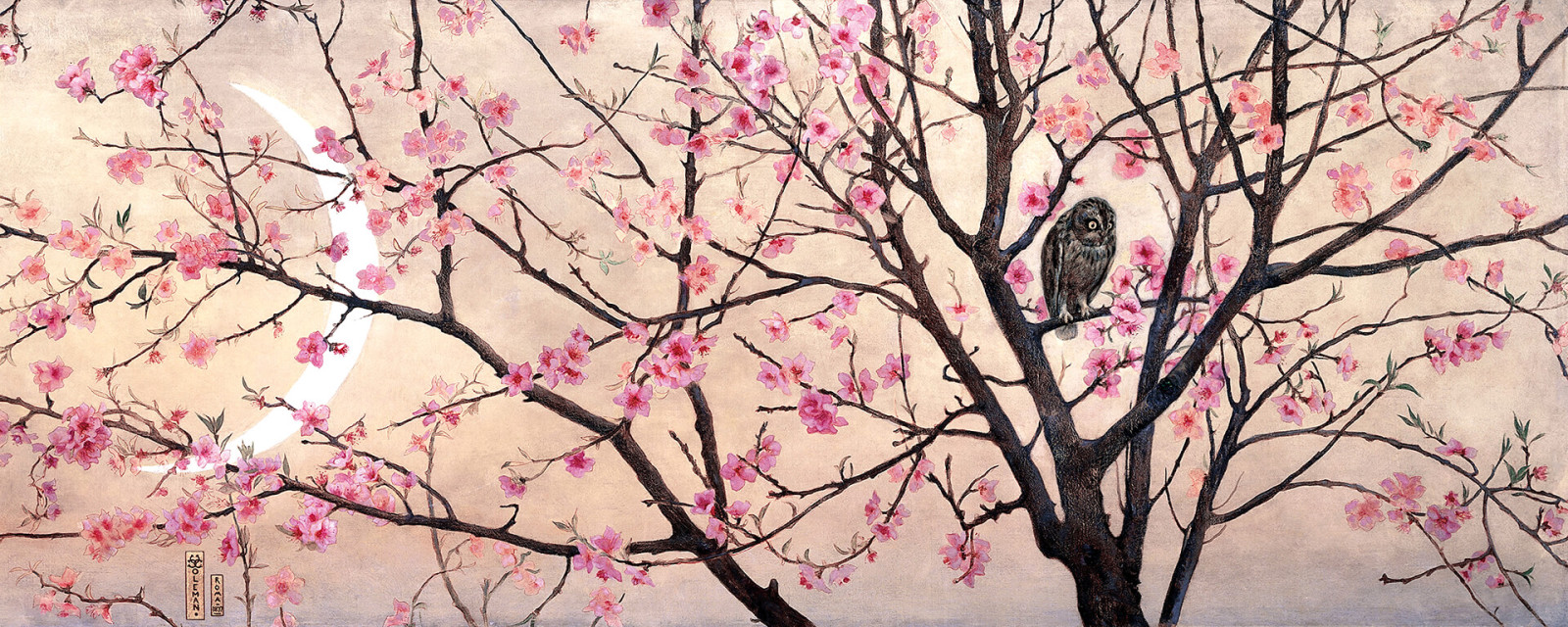 Leinwandbild BLÜTEN - rosa - 100x40 cm