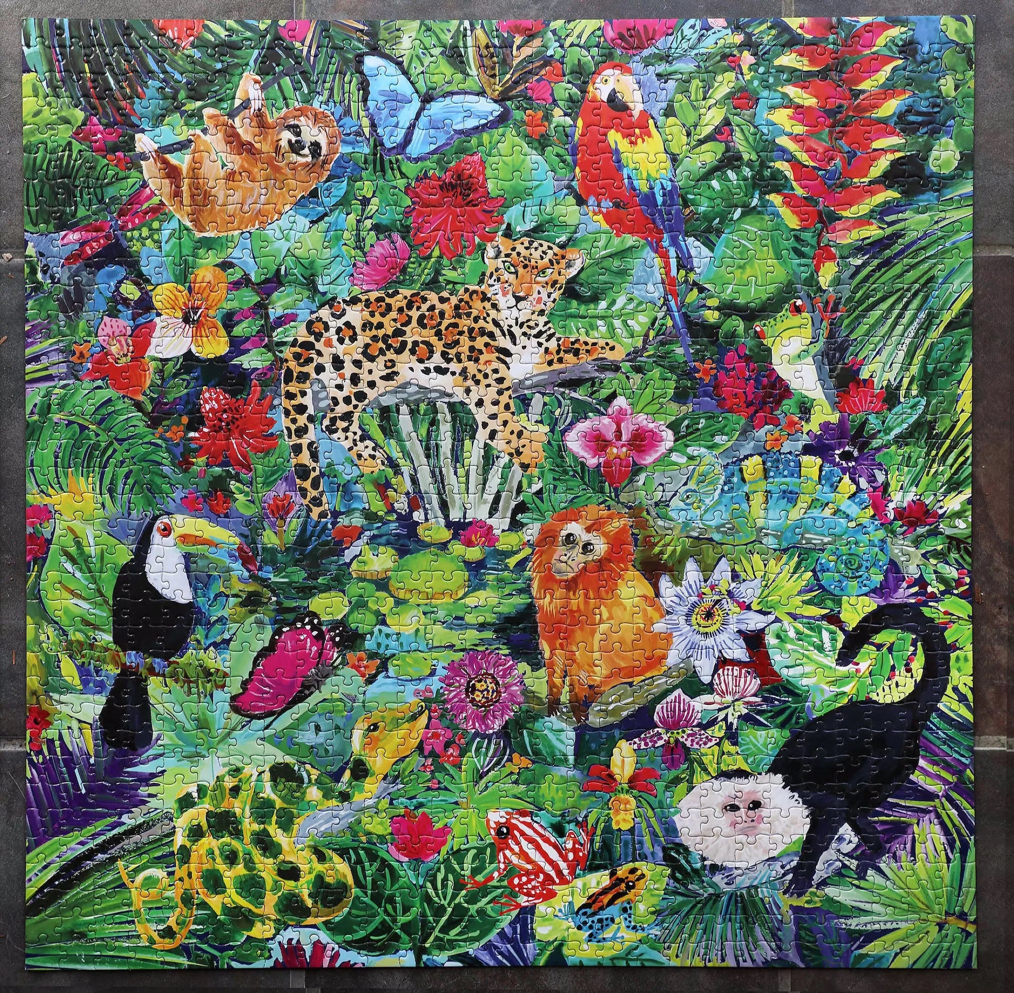 Puzzle Amazon rainforest