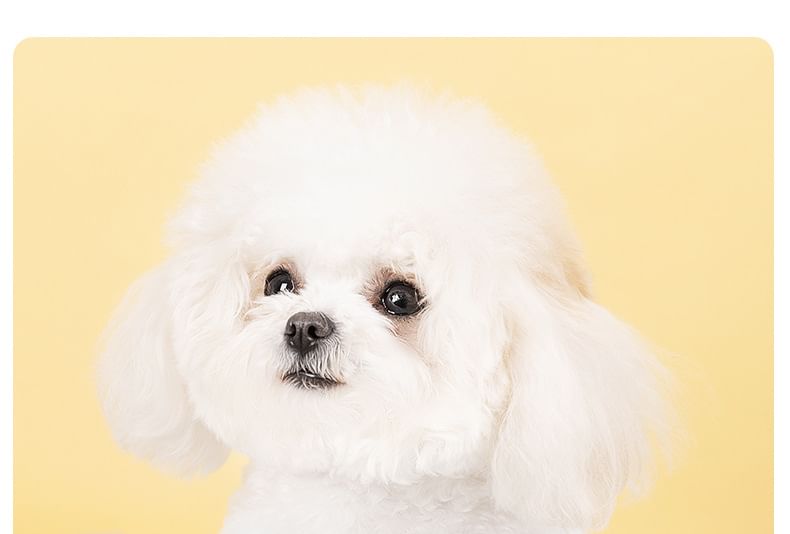 Cissilli - Strik Pet Jurk