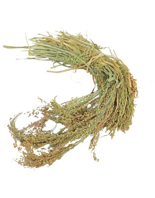 Jr Farm Parel Gierst - Vogelvoer - 14x5.5x30 cm 100 g