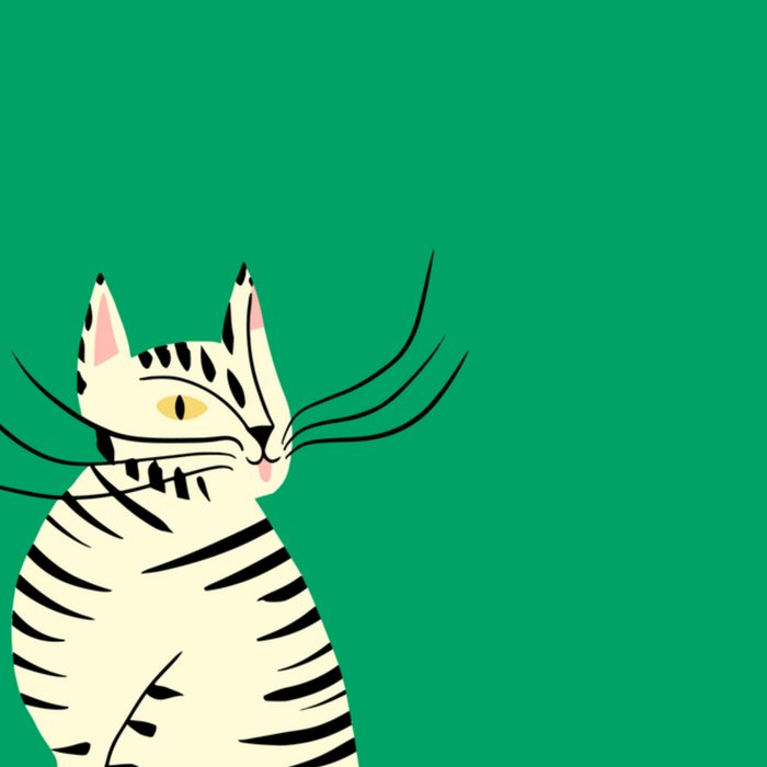 Greetz | Zomaar kaart | kat | hey there