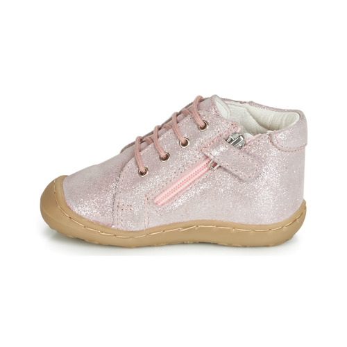 GBB - VEDOFA - Rose