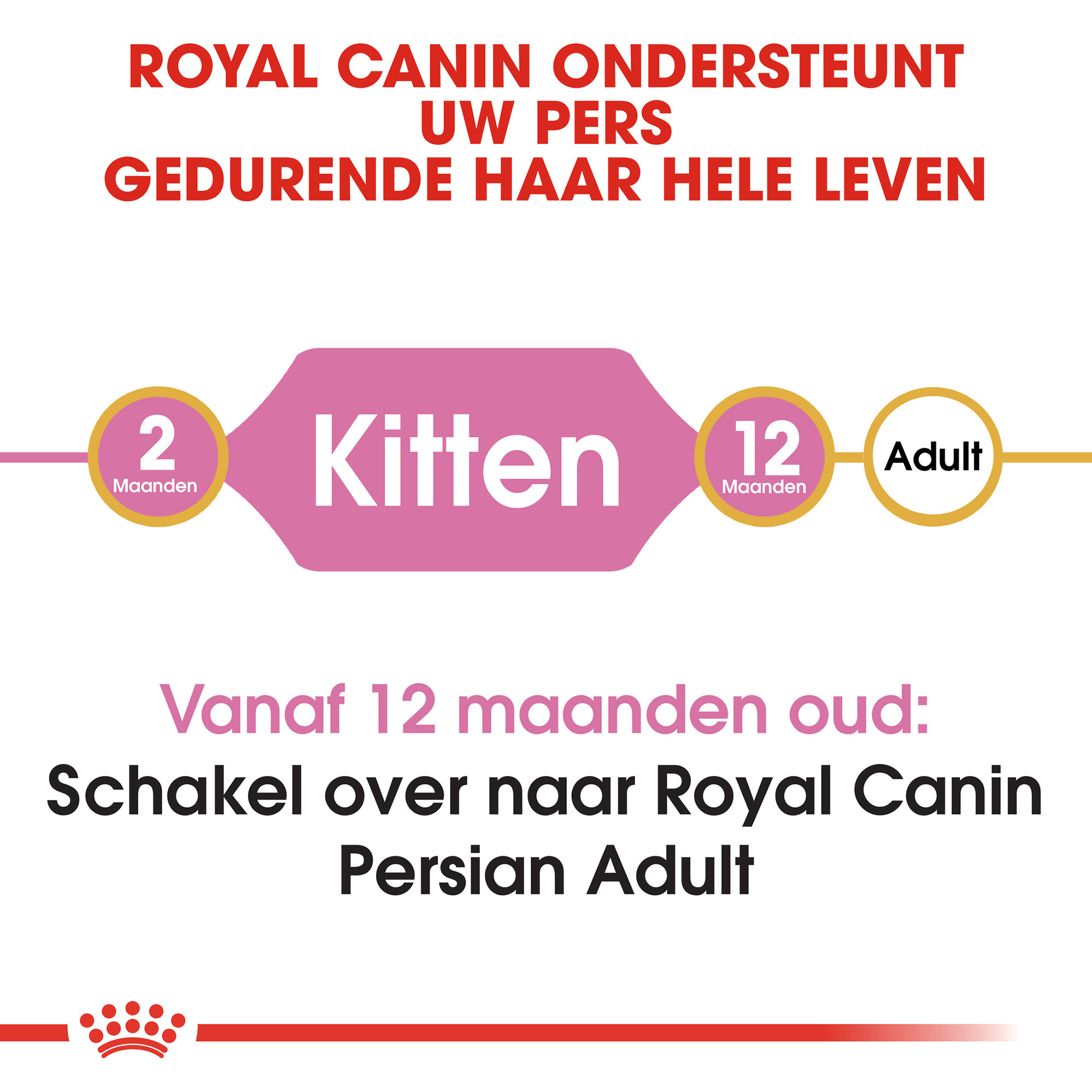Royal Canin Persian Kitten - Kattenvoer