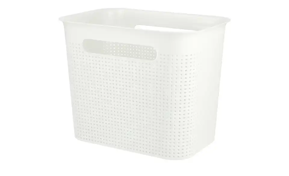 Rotho Aufbewahrungsbox 26 cm