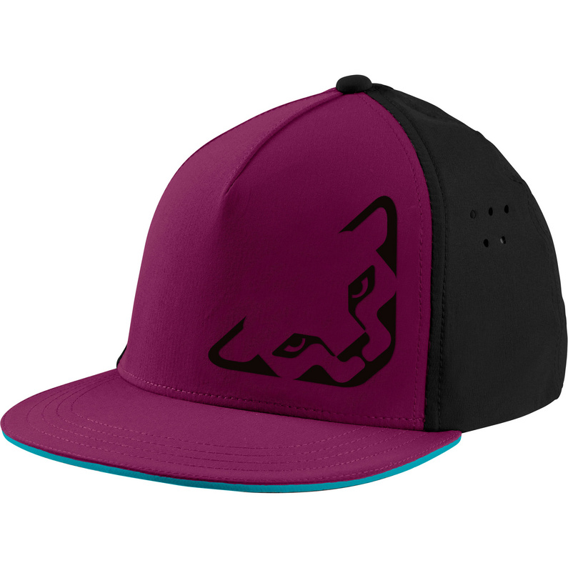 Dynafit Tech Trucker Cap