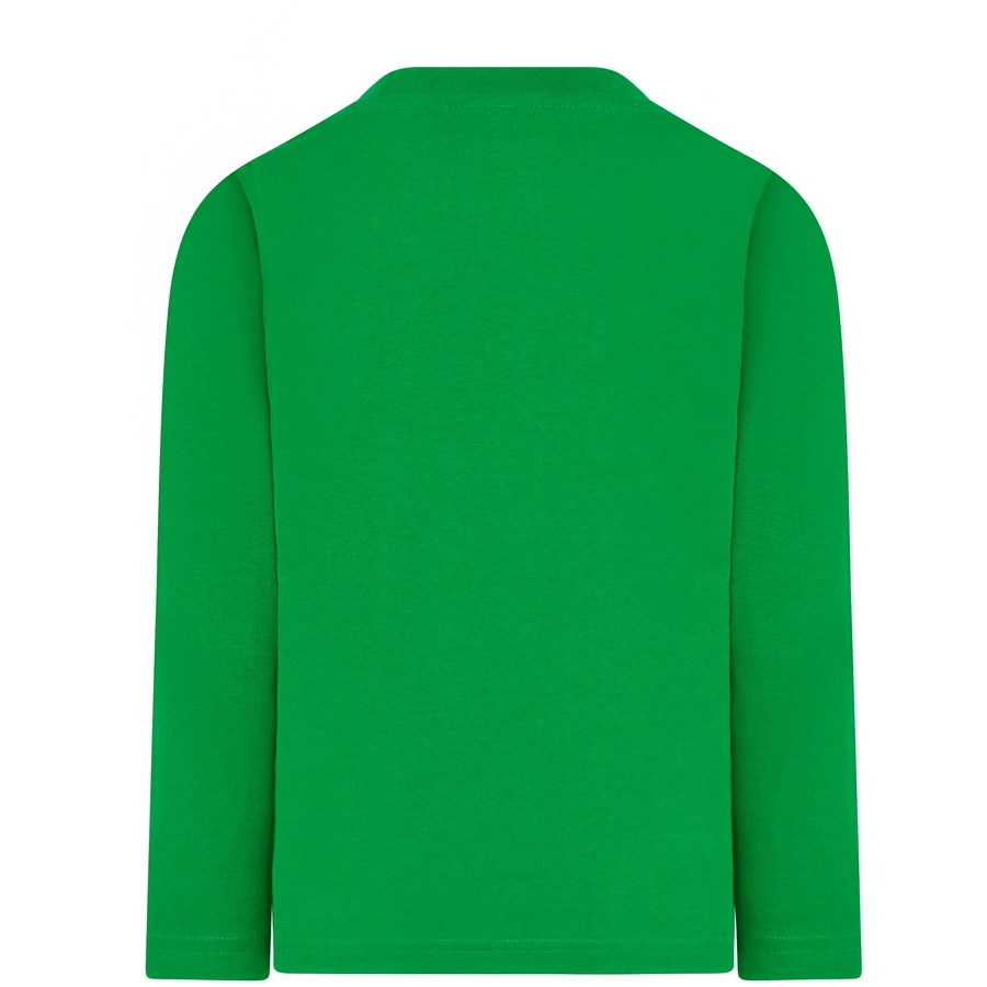 LEGO® WEAR Langarmshirt LWTAYLOR 614 green