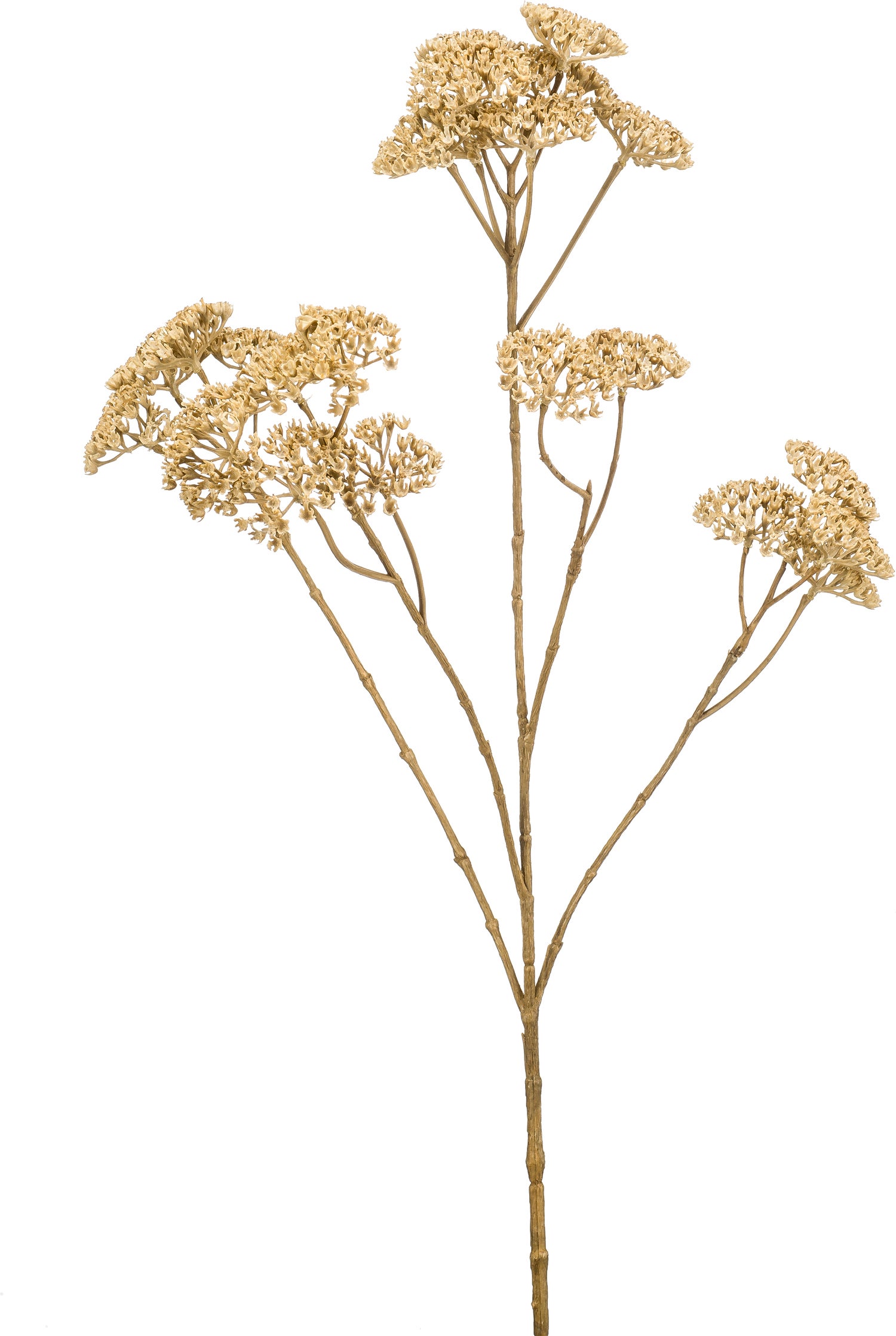 Emerald kunstbloem Achillea wit 72 cm