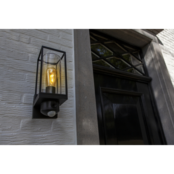 LUTEC slimme LED buitenlamp Flair met camera en bewegingssensor