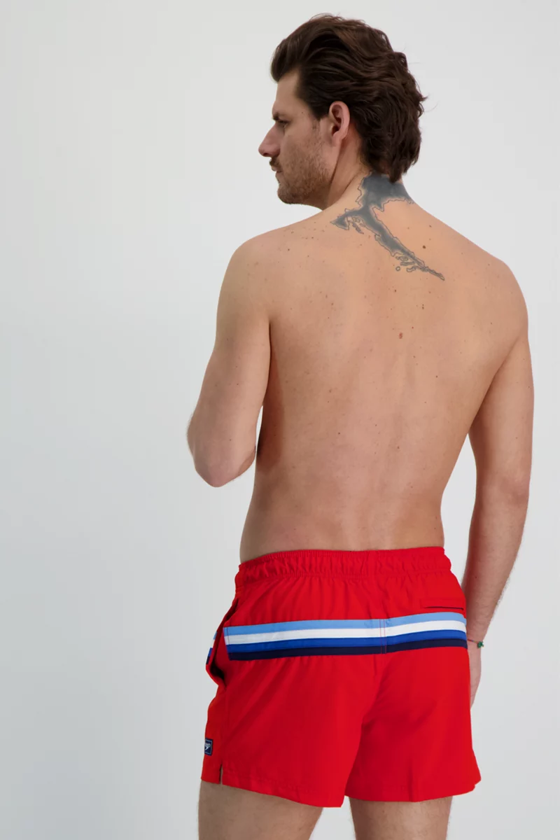 speedo SNA Colourblock Volley 14 Inch Herren Badeshort