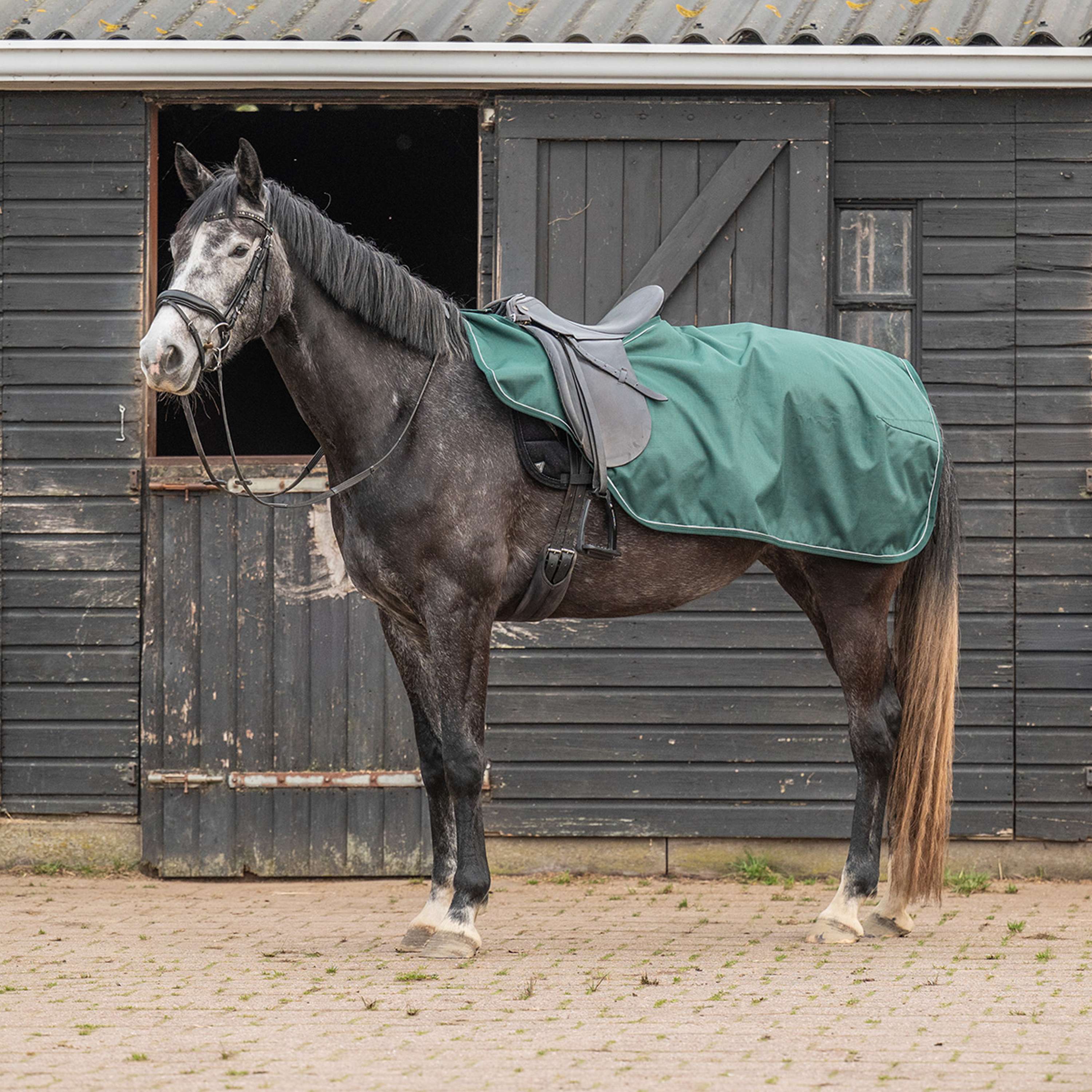 Agradi Horse Uitrijdeken 1200D Reflecterende Bies Groen