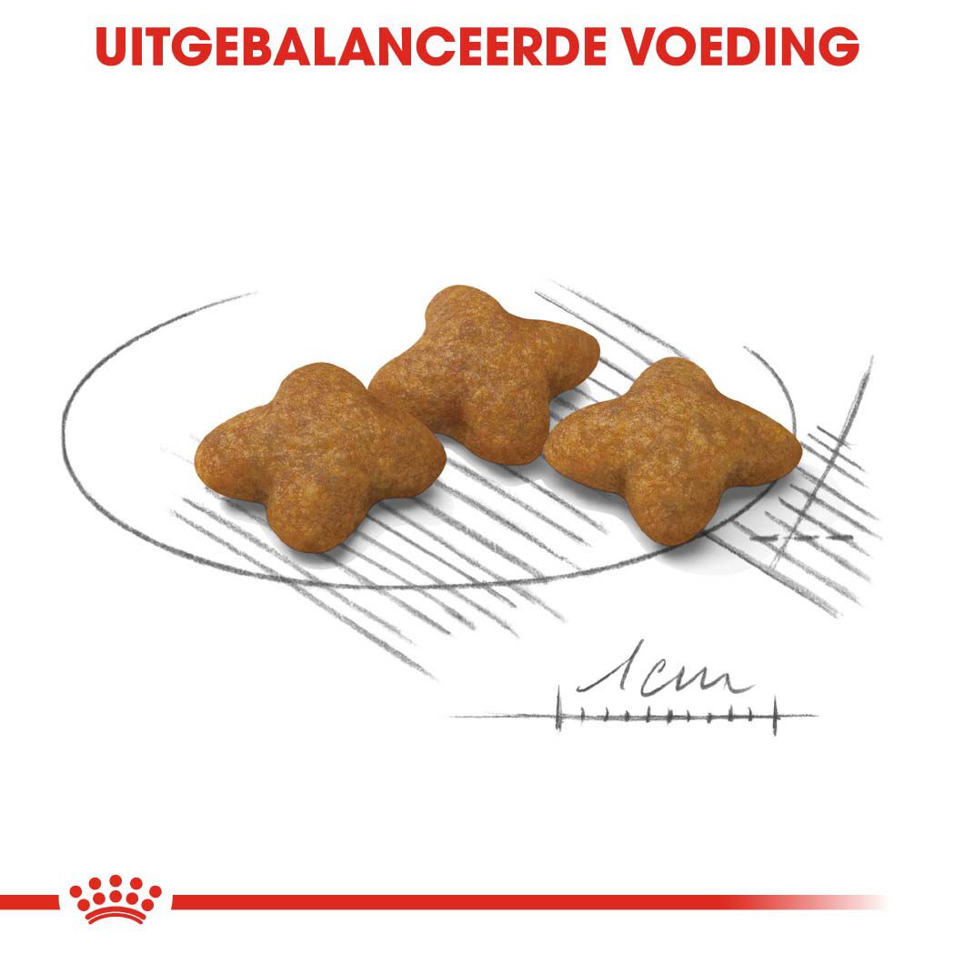 Royal Canin X-Small Sterilised - Hondenvoer - 1.5 Kilogram - gevogelte