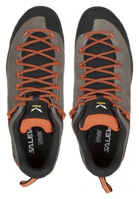 Chaussures d'approche Salewa Wildfire Leather Brun