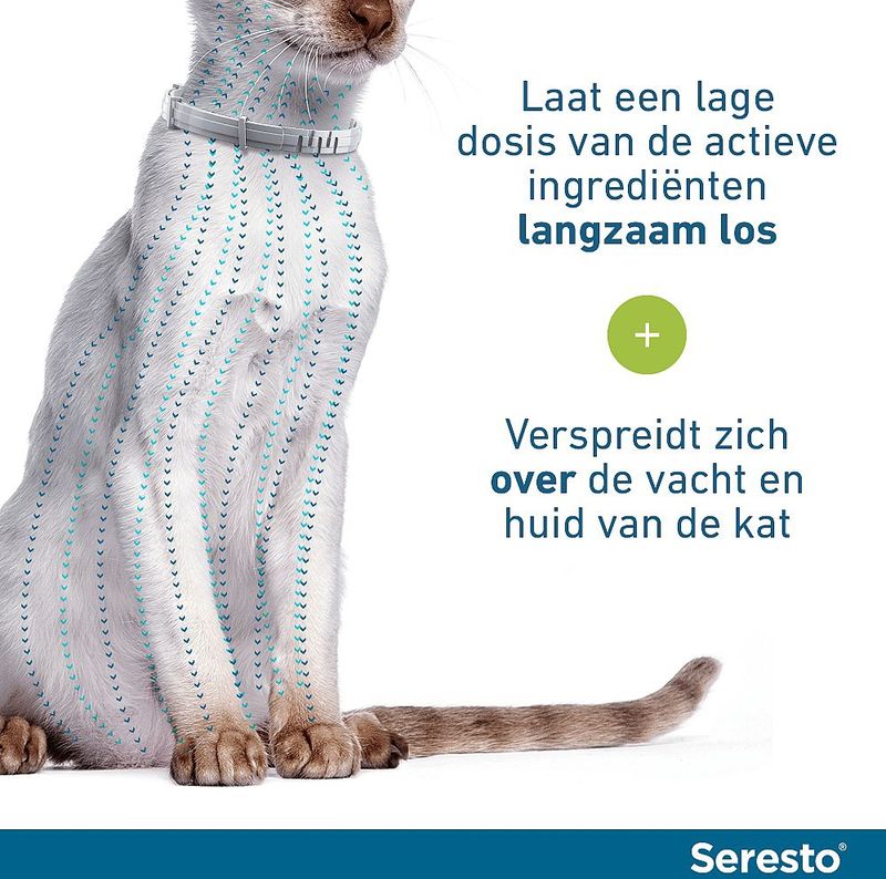 Seresto Teken- En Vlooienband Kat 38 cm - Anti tekenmiddel - 2 stuks