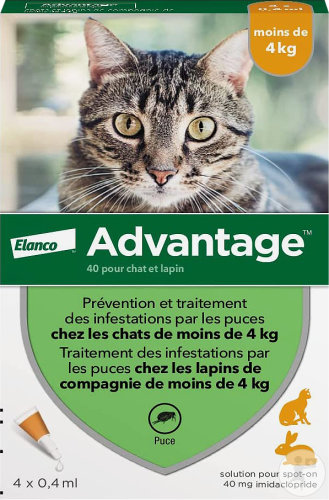 Advantage Chat Anti-Puces Pour Chats Moins De 4kg 4 Pipettes