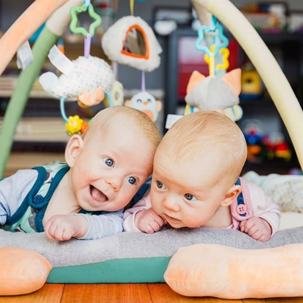 Aktivitets Gym Pingvin - Playgro → Luksusbaby.dk