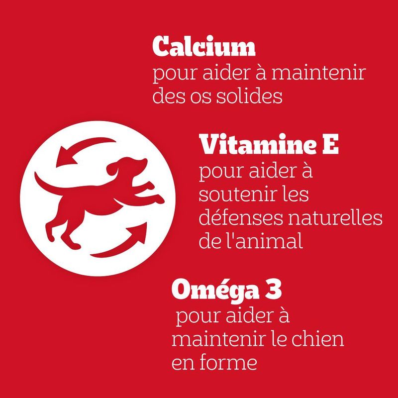 Son Os à mâcher Pedigree Mini