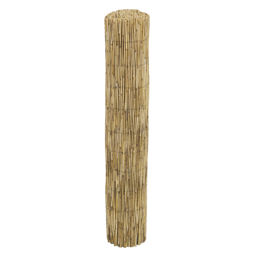 Canisse en roseau 1 x 5 m