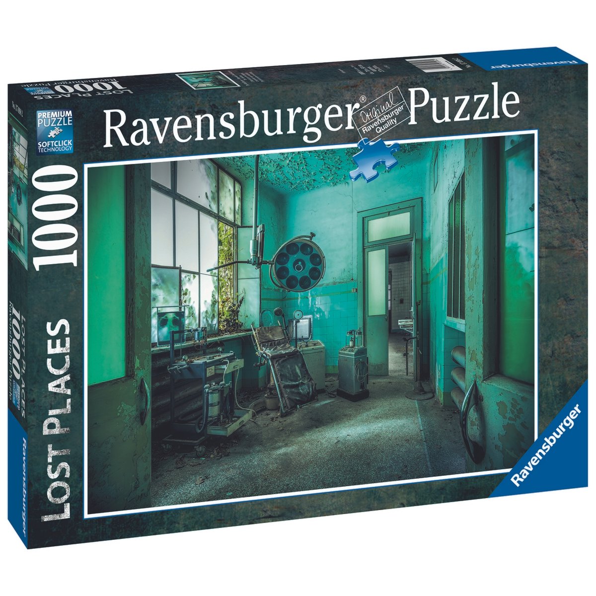 Puzzle 1000 pièces Hôpital Psychiatrique