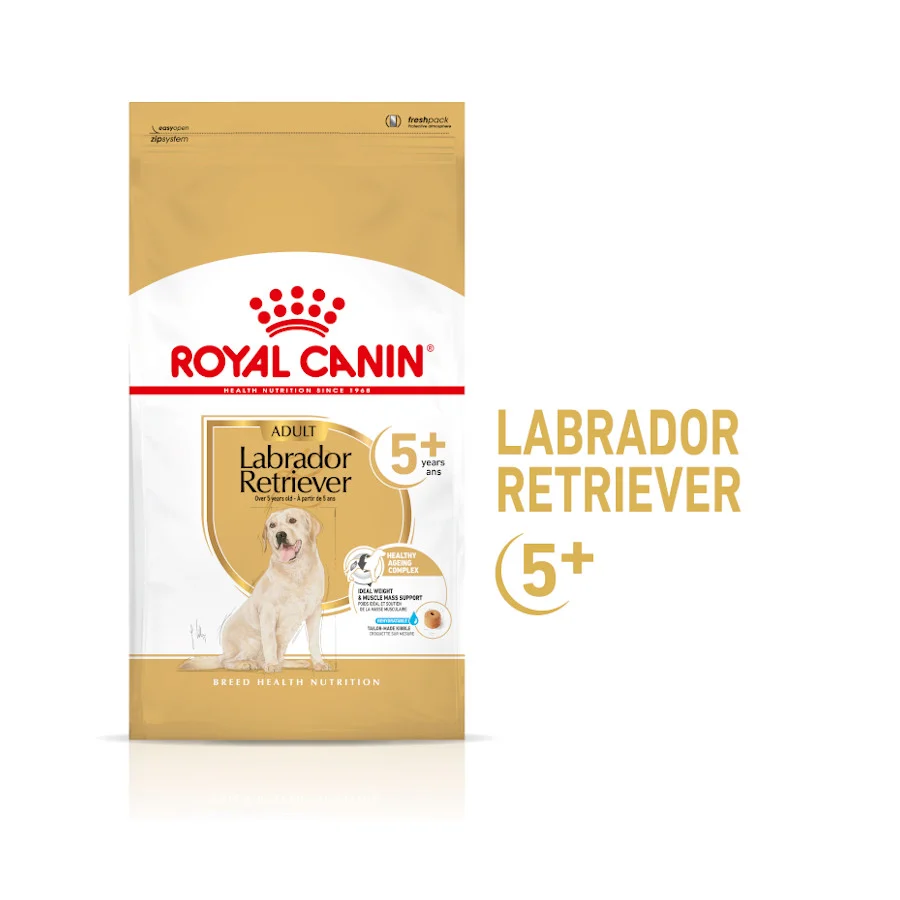 Ração Royal Canin Adult 5+ para Labrador