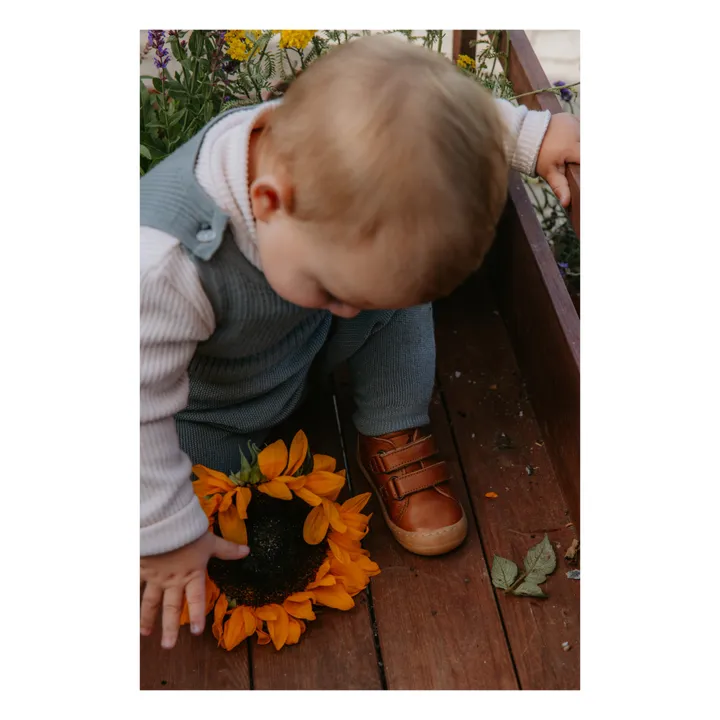 Petit Nord Baskets Scratchs Everyday | Cognac