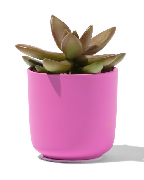 cache-pot Ø6x6.5 faïence rose