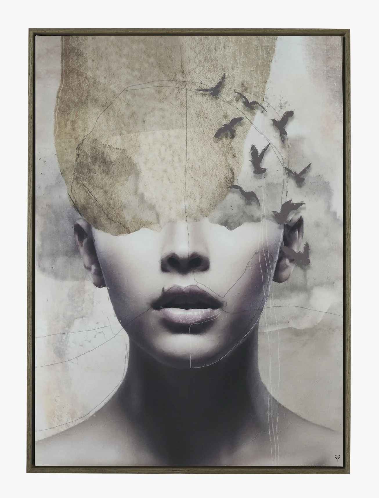 Bilde brun - 50x70 cm