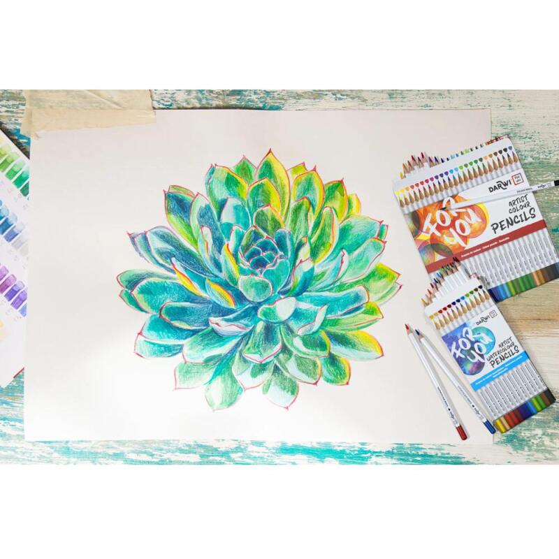 Darwi For You boite de 12 crayons de couleur aquarellables - Assortiment