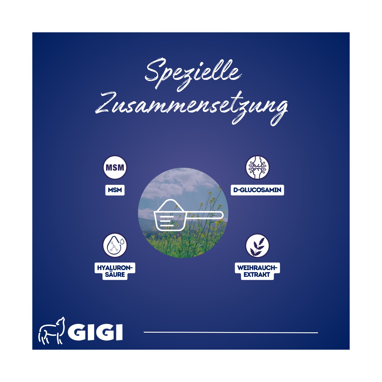 GIGI VET SynocurFlex Gelenke Für Pferde Pulver 450 g
