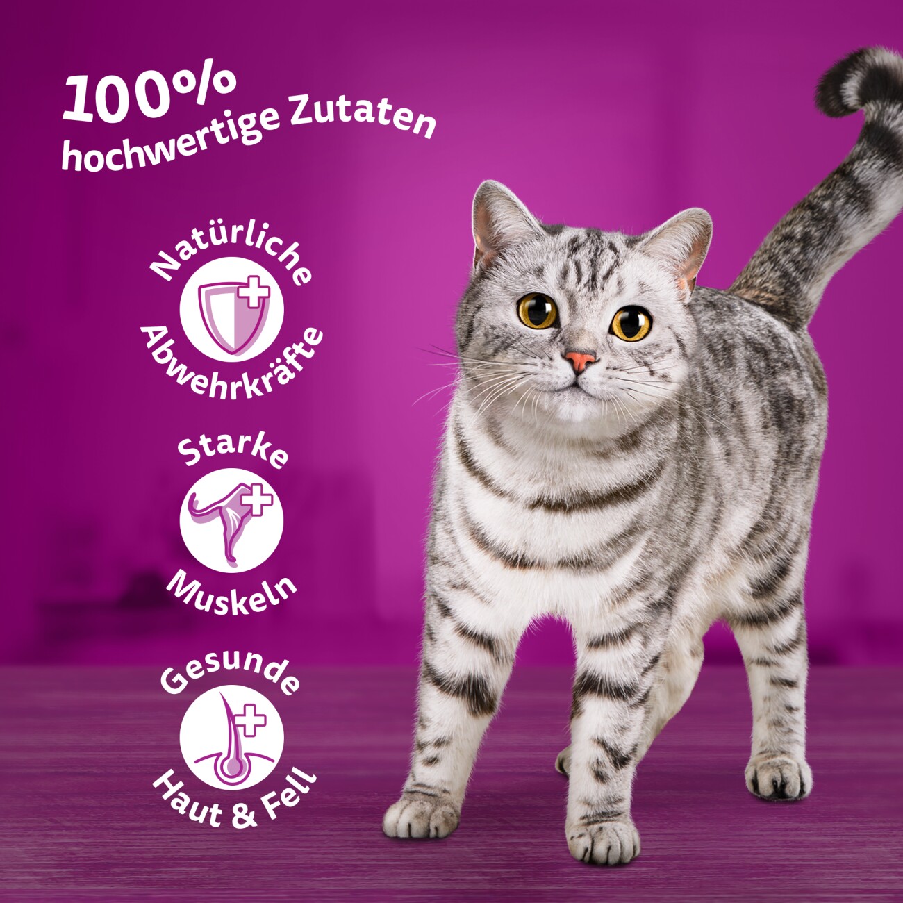 Whiskas ® Multipack Portionsbeutel 1+ Fisch Auswahl 4 Varietäten in Gelee 80 x 85g