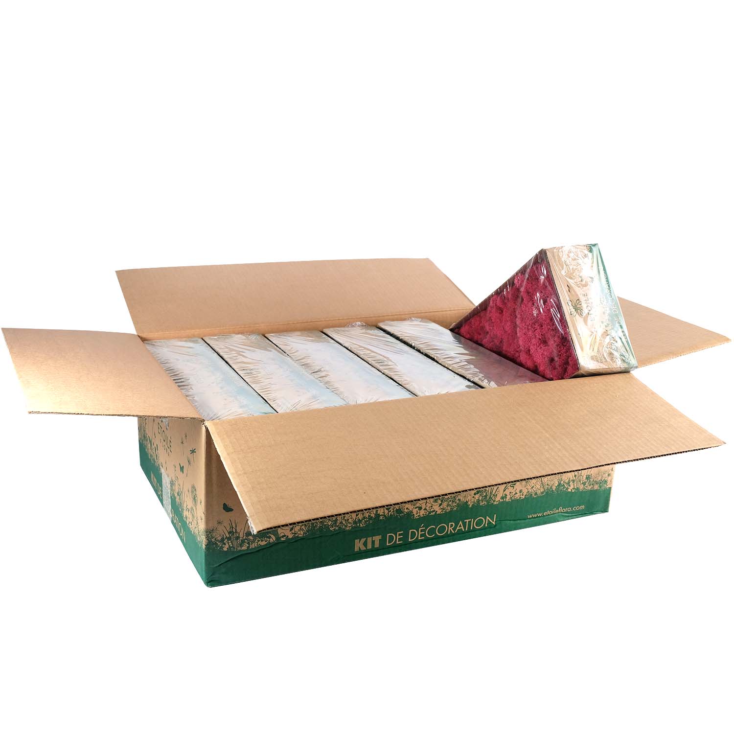 Lic/0572 lichen stabilisée cramoisi w-box 0,5 kg