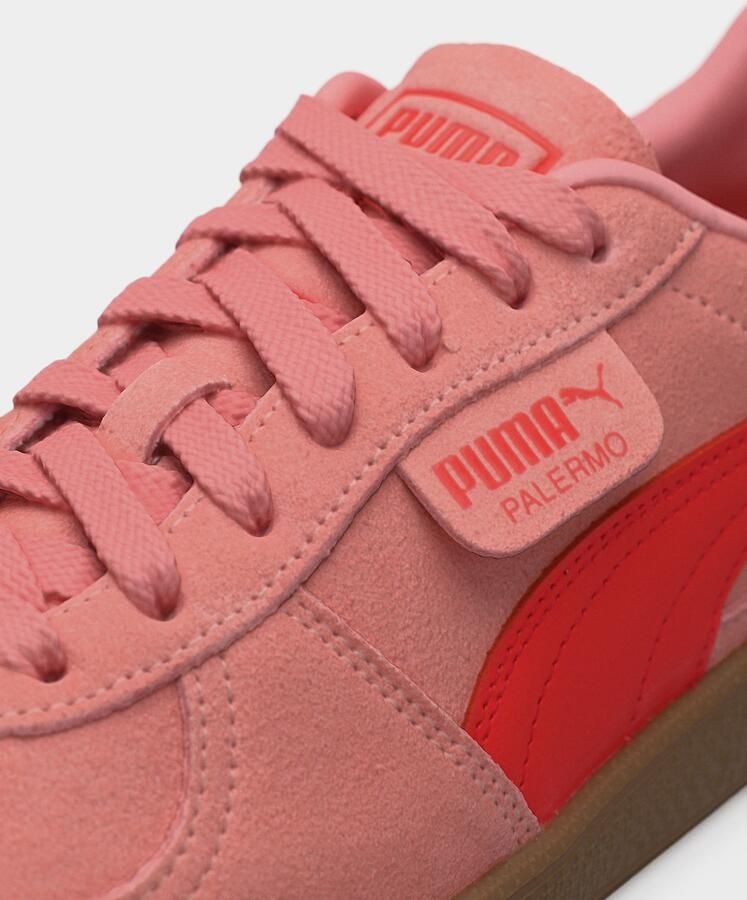 Puma Palermo intense lrosy outlook gum Suede Unisex
